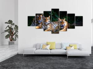 Obraz - Tygří bratři (210x100 cm)