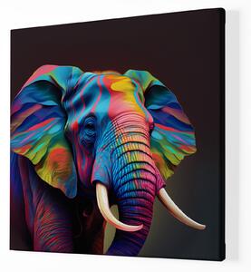 Obraz na plátně - Barevný slon FeelHappy.cz Velikost obrazu: 60 x 60 cm