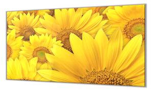 Ochranná deska žluté květy slunečnice - 50x70cm / S lepením na zeď