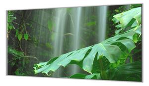 Ochranná deska list deštný prales - 50x70cm / S lepením na zeď