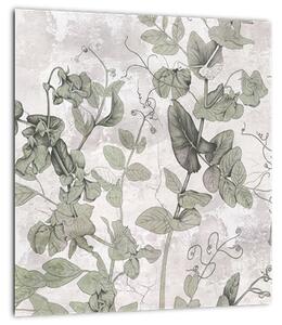 Obraz - Rostliny v omítce (30x30 cm)
