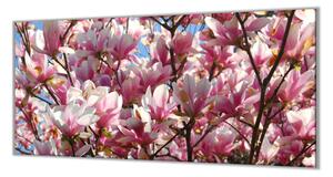 Ochranná deska květy magnolie - 60x60cm / Bez lepení na zeď