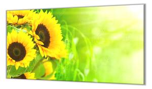 Ochranná deska květy slunečnice na zeleném - 52x60cm / S lepením na zeď