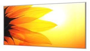 Ochranná deska malovaný detail květ slunečnice - 52x60cm / Bez lepení na zeď