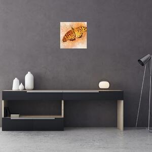Obraz - Oranžový motýl, aquarel (30x30 cm)