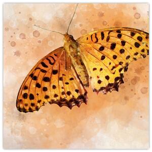 Obraz - Oranžový motýl, aquarel (30x30 cm)