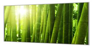 Ochranná deska bambus záře slunce - 52x60cm / S lepením na zeď