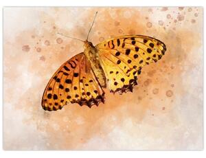 Obraz - Oranžový motýl, aquarel (70x50 cm)