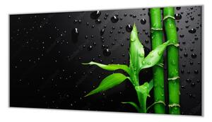 Ochranná deska bambus kapky vody na černém - 52x60cm / S lepením na zeď