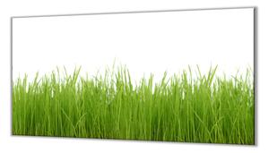 Ochranná deska jarní tráva bílé pozadí - 40x60cm / Bez lepení na zeď