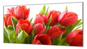 Ochranná deska květy červené tulipány - 65x65cm / Bez lepení na zeď