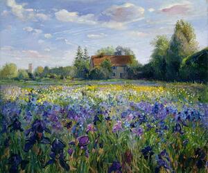 Obrazová reprodukce Evening at the Iris Field, Timothy Easton