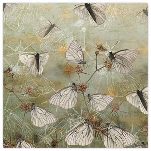 Obraz - Vintage motýli (30x30 cm)