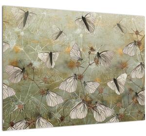 Skleněný obraz - Vintage motýli (70x50 cm)