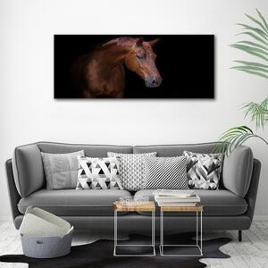 Foto obraz na plátně do obýváku Hnědý kůň pl-oc-125x50-f-114030424