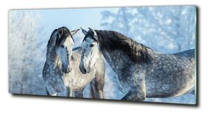 Fotoobraz na skle Zima šedý kůň cz-obglass-125x50-116887257
