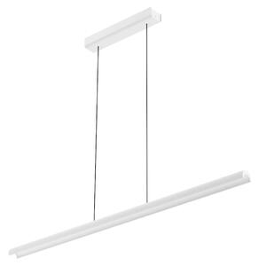 Linealight Závěsné LED svítidlo Halfpipe_P d.98,4 cm, 25W Barva: Bílá