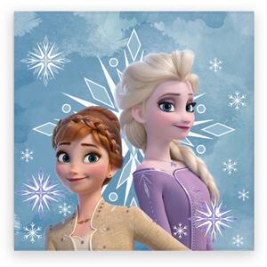 Aptex DĚTSKÝ FROTÉ RUČNÍK FROZEN 30X30 CM VZOROVANÝ