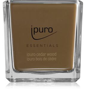 Ipuro Essentials Cedar Wood vonná svíčka 125 g