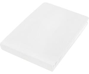 ELASTICKÉ PROSTĚRADLO, bílá, 100/200 cm Esposa - Prostěradla
