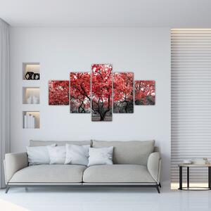 Obraz - Červené stromy, Central Park, New York (125x70 cm)