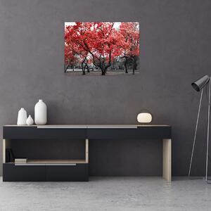 Obraz - Červené stromy, Central Park, New York (70x50 cm)