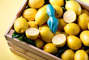 Lis na citrusy OCTO OTOTO Design (Barva - tyrkysová)