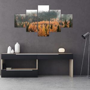 Obraz - Podzimní les (125x70 cm)