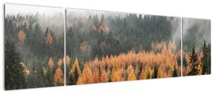Obraz - Podzimní les (170x50 cm)