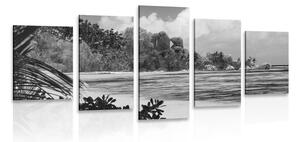 5-dílný obraz pláž na ostrově La Digue v černobílém provedení Varianta: 200x100