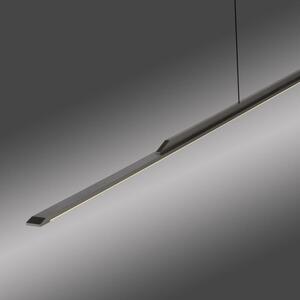 Paul Neuhaus Závěsné LED svítidlo PURE SURFACE, 29W, d. 160 cm, 3000K