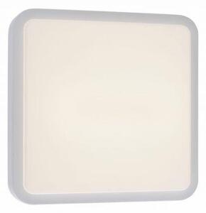 PN 9649-16 Q-LENNY LED venkovní svítidlo, Smart Home RGB+3000K - PAUL NEUHAUS