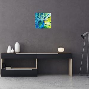Obraz páva (30x30 cm)