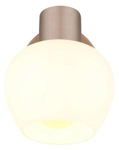 Globo 54662-1 - Nástěnné bodové svítidlo EILEEN 1xE27/40W/230V