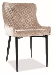Casarredo Designová jídelní židle COLIN B VELVET béžová/černý kov