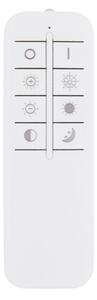 Globo 48441-50 - LED Stmívatelné stropní svítidlo RODERICK LED/50W/230V + DO