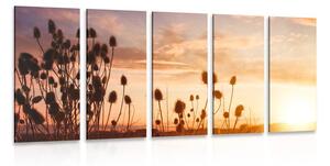 5-dílný obraz stébla trávy při východu slunce Varianta: 100x50