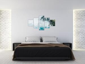 Obraz palmy nad mořem (125x70 cm)