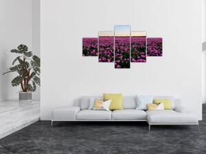 Obraz - Louka fialových tulipánů (125x70 cm)