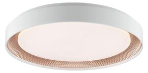 Brilliant - LED Stm stropní svítidlo WALDO LED/36W/230V bílá/rose gold + DO