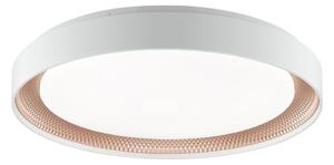 Brilliant - LED Stm stropní svítidlo WALDO LED/36W/230V bílá/rose gold + DO