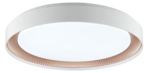 Brilliant - LED Stm stropní svítidlo WALDO LED/36W/230V bílá/rose gold + DO