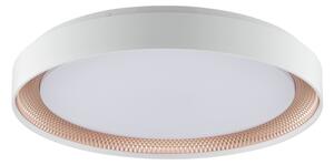 Brilliant - LED Stm stropní svítidlo WALDO LED/36W/230V bílá/rose gold + DO