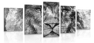 5-dílný obraz tvář lva v černobílém provedení Varianta: 100x50