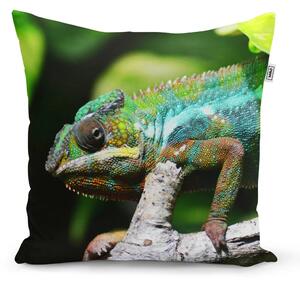Sablio Polštář Chameleon - 40x40 cm