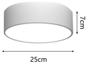 Immax NEO 07204L - LED Stmívatelné svítidlo RONDATE LED/18W/230V bílá Tuya + DO