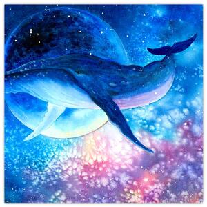 Obraz - Vesmírná velryba (30x30 cm)