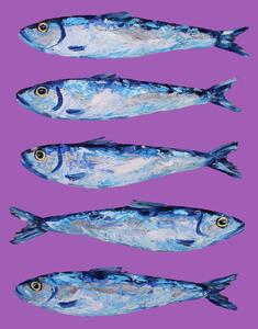 Ilustrace Sardines on Purple, Alice Straker, (30 x 40 cm)