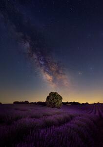 Umělecká fotografie Milky Way dreams, Carlos Hernandez Martinez, (26.7 x 40 cm)