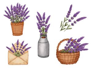 Ilustrace Set watercolor lavender bouquet in bucket,, Evgeniya Sheydt